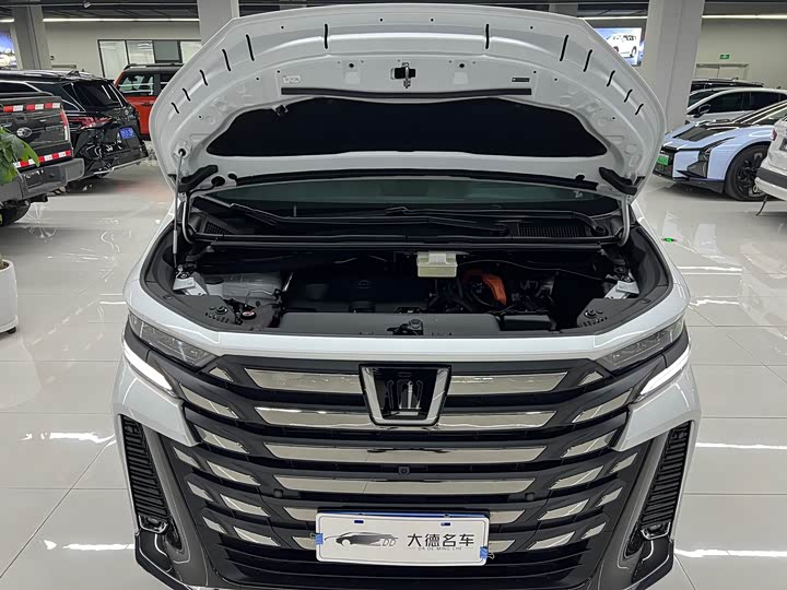 Toyota Vellfire 2024 2024款 皇冠 双擎 2.5L 至尊行政版