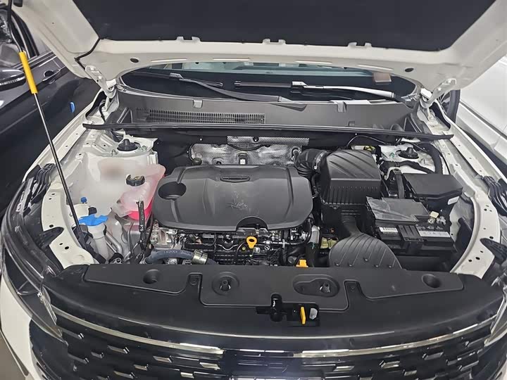 Geely Okavango Pro 2024 2024款 1.5T DCT 纵横+