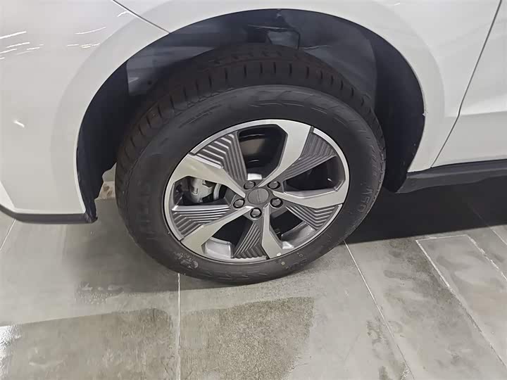 Geely Okavango Pro 2024 2024款 1.5T DCT 纵横+