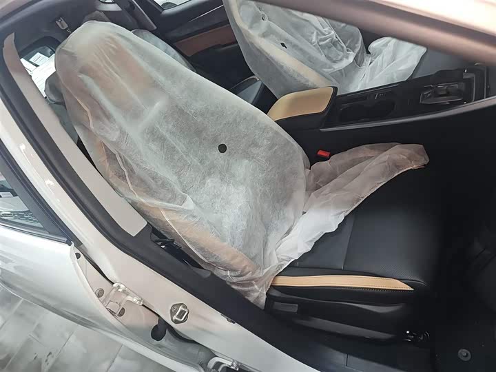 Geely Okavango Pro 2024 2024款 1.5T DCT 纵横+