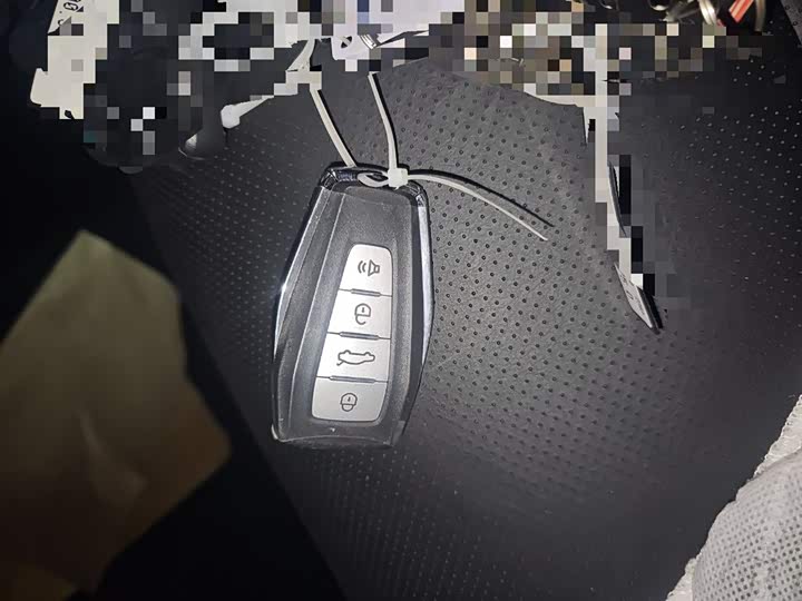 Geely Okavango Pro 2024 2024款 1.5T DCT 纵横+