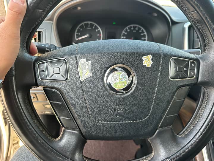 Dongfeng Forthing Lingzhi Plus 2021 2021款 2.0L 手动豪华型 7座