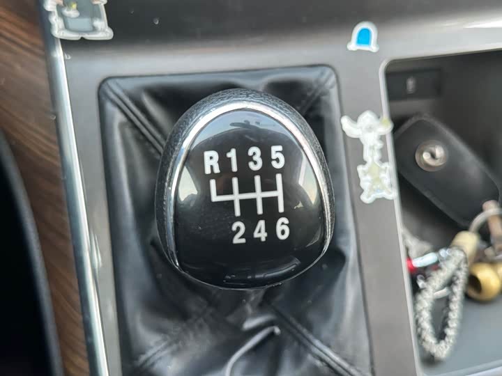 Dongfeng Forthing Lingzhi Plus 2021 2021款 2.0L 手动豪华型 7座