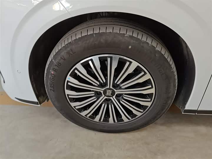 BYD Xia 2025 2025款 DM-i 1.5T 180km 超越型