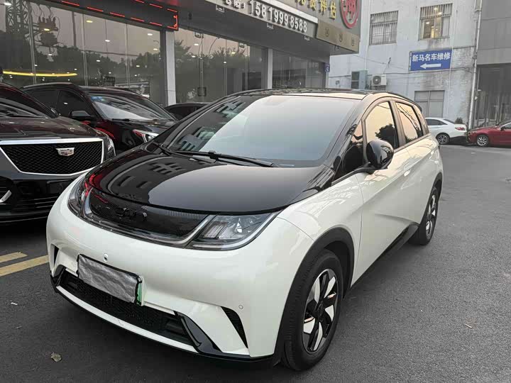 BYD Dolphin 2025 2025款 420km 时尚版