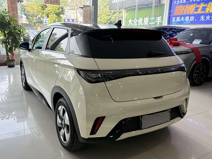 BYD Dolphin 2025 2025款 420km 时尚版