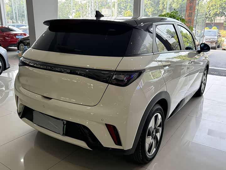 BYD Dolphin 2025 2025款 420km 时尚版