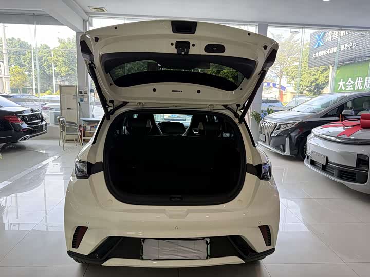 BYD Dolphin 2025 2025款 420km 时尚版