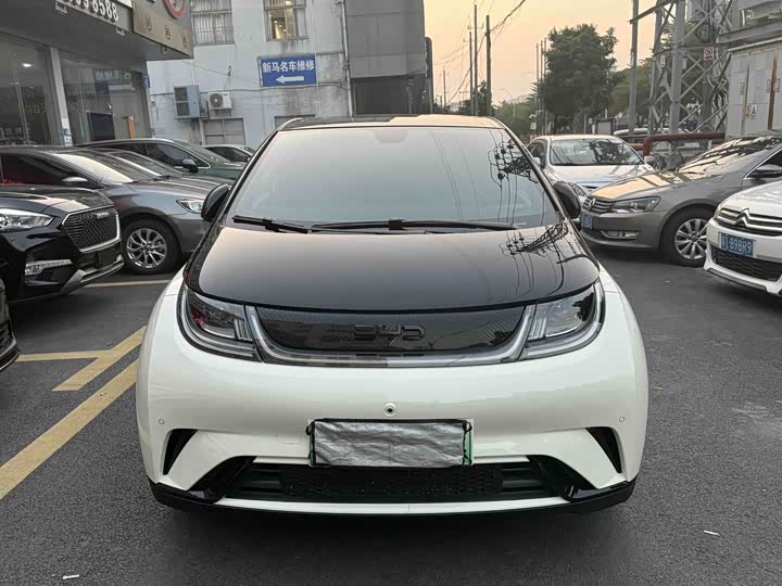 BYD Dolphin 2025 2025款 420km 时尚版