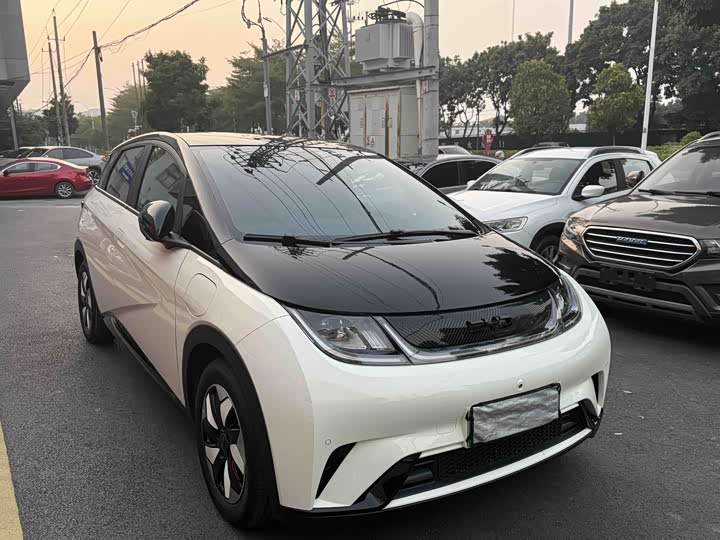 BYD Dolphin 2025 2025款 420km 时尚版
