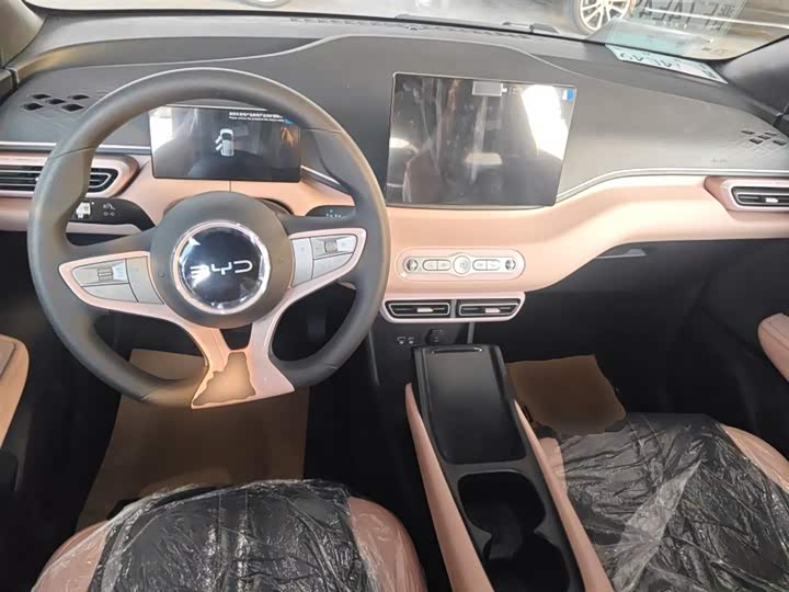 BYD Seagull 2025 2025款 智驾版 305km 活力版