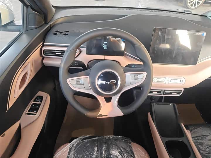 BYD Seagull 2025 2025款 智驾版 305km 活力版