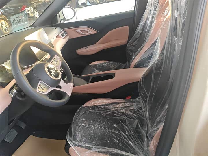 BYD Seagull 2025 2025款 智驾版 305km 活力版