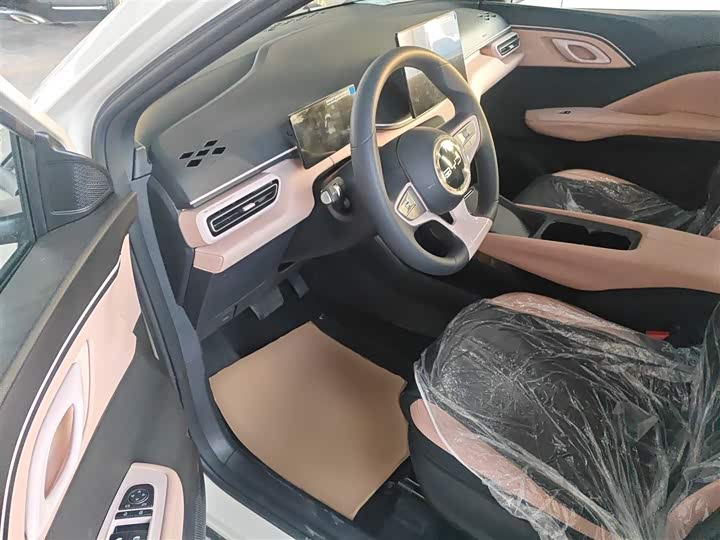 BYD Seagull 2025 2025款 智驾版 305km 活力版