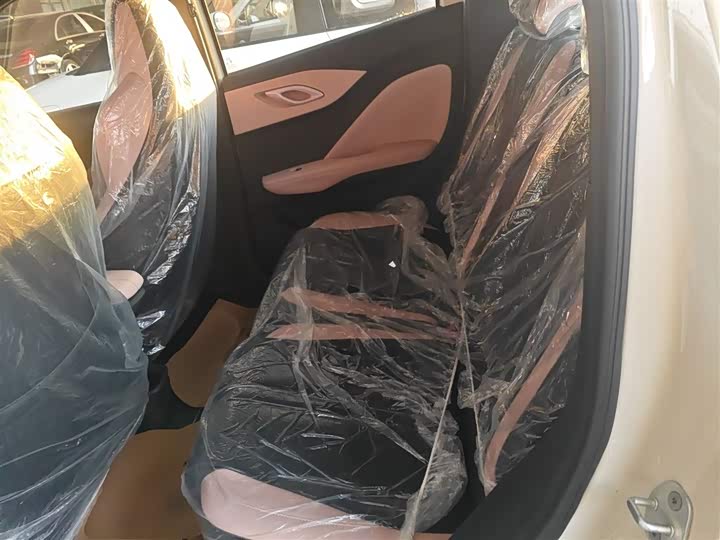 BYD Seagull 2025 2025款 智驾版 305km 活力版