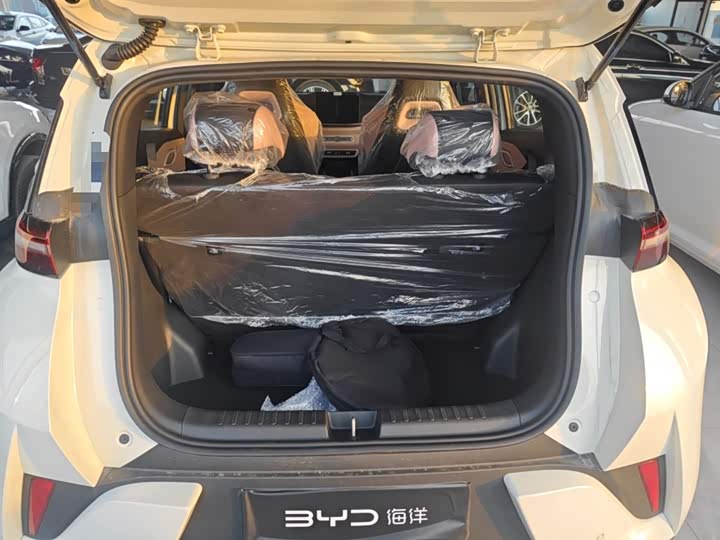 BYD Seagull 2025 2025款 智驾版 305km 活力版