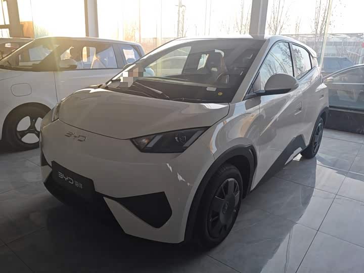 BYD Seagull 2025 2025款 智驾版 305km 活力版