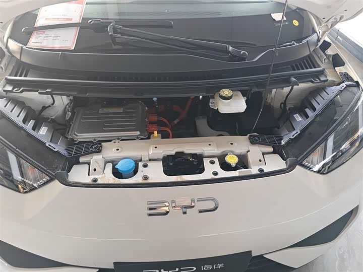 BYD Seagull 2025 2025款 智驾版 305km 活力版