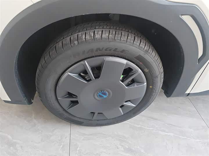 BYD Seagull 2025 2025款 智驾版 305km 活力版