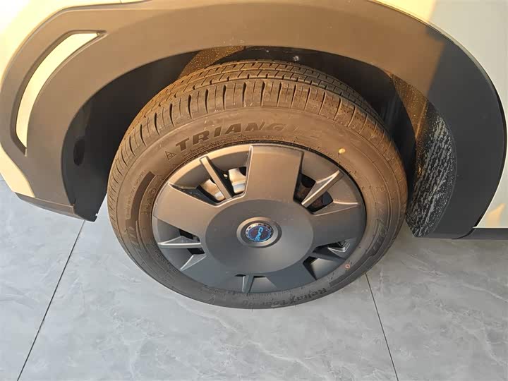 BYD Seagull 2025 2025款 智驾版 305km 活力版