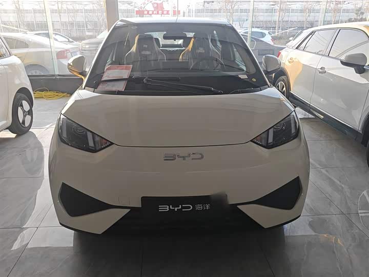 BYD Seagull 2025 2025款 智驾版 305km 活力版