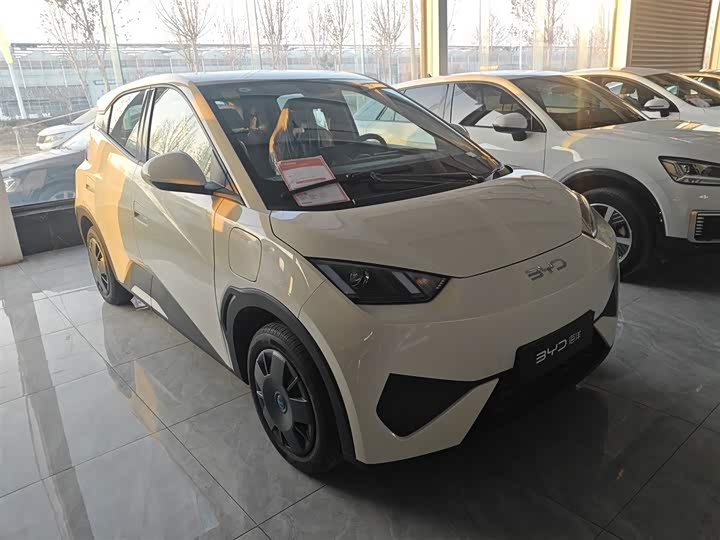 BYD Seagull 2025 2025款 智驾版 305km 活力版