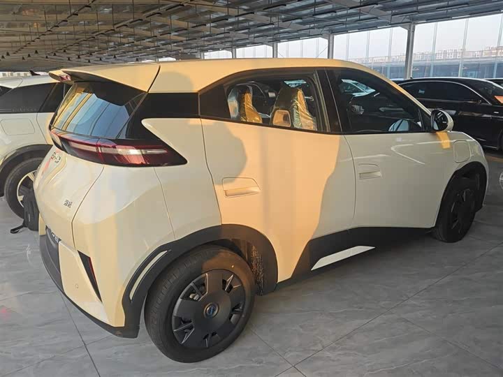 BYD Seagull 2025 2025款 智驾版 305km 活力版