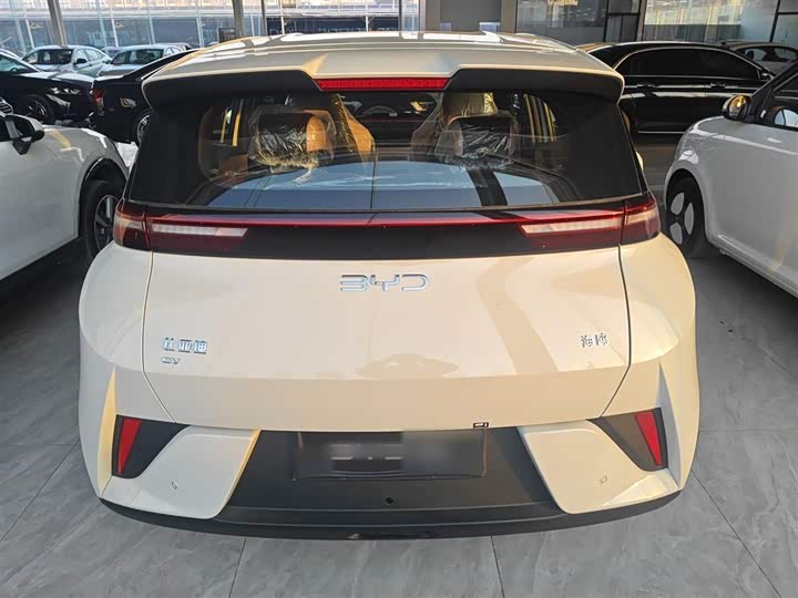 BYD Seagull 2025 2025款 智驾版 305km 活力版