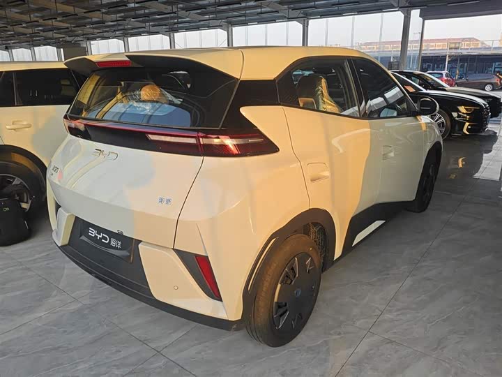 BYD Seagull 2025 2025款 智驾版 305km 活力版