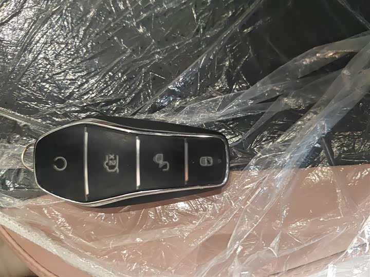 BYD Seagull 2025 2025款 智驾版 305km 活力版