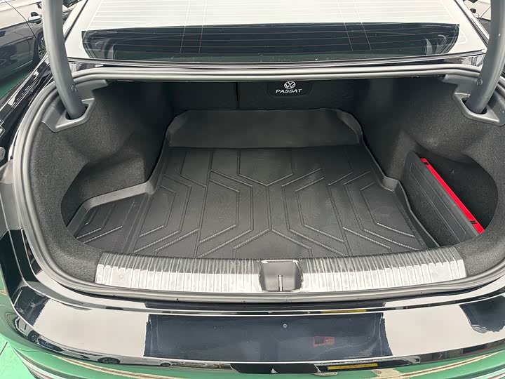 Volkswagen Passat 2025 2025款 Pro 380TSI 龙尊版