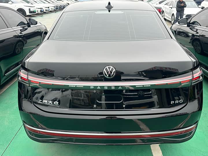 Volkswagen Passat 2025 2025款 Pro 380TSI 龙尊版