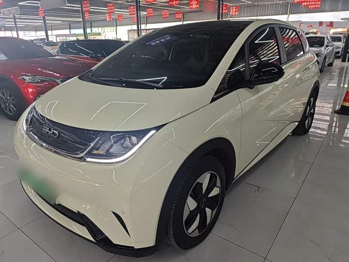 BYD Dolphin 2025 2025款 420km 自由版