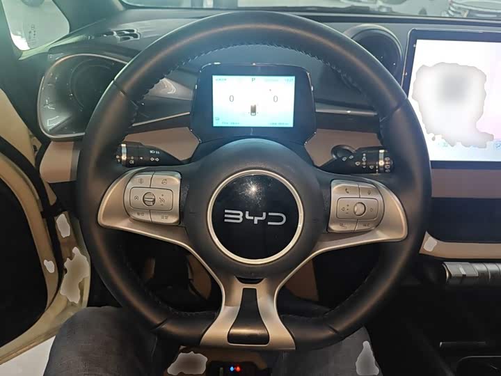 BYD Dolphin 2025 2025款 420km 自由版