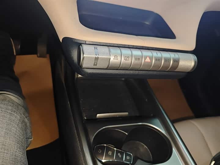 BYD Dolphin 2025 2025款 420km 自由版