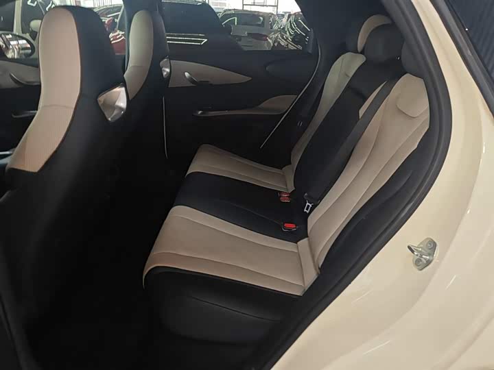 BYD Dolphin 2025 2025款 420km 自由版