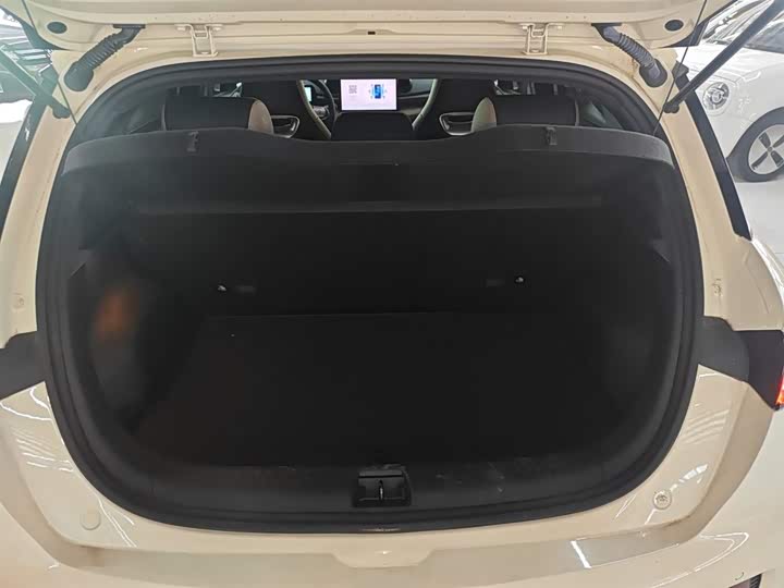 BYD Dolphin 2025 2025款 420km 自由版