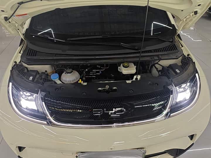 BYD Dolphin 2025 2025款 420km 自由版