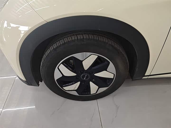 BYD Dolphin 2025 2025款 420km 自由版