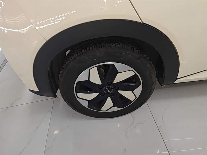 BYD Dolphin 2025 2025款 420km 自由版