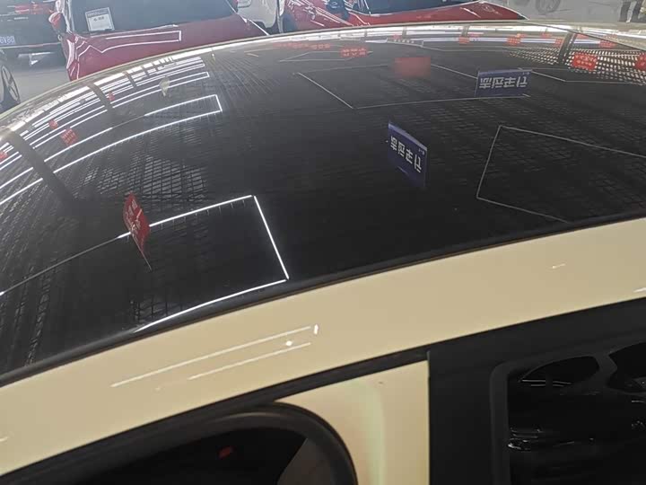 BYD Dolphin 2025 2025款 420km 自由版