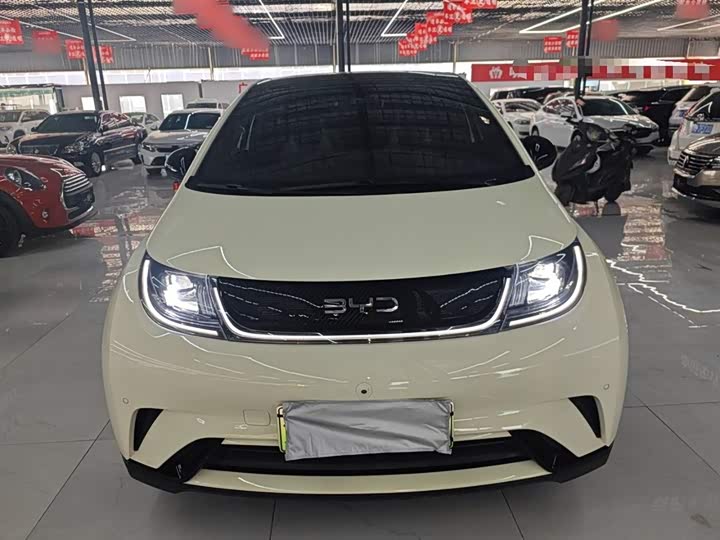 BYD Dolphin 2025 2025款 420km 自由版