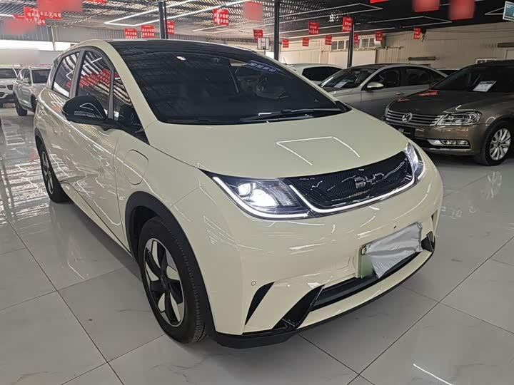 BYD Dolphin 2025 2025款 420km 自由版