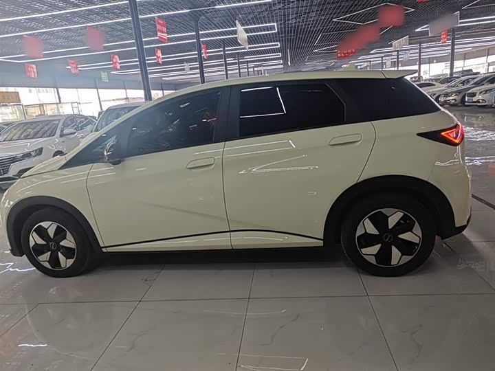 BYD Dolphin 2025 2025款 420km 自由版