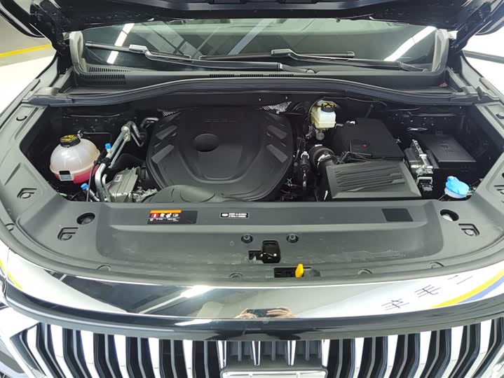 Geely Okavango L 2024 2024款 2.0T DCT尊贵型