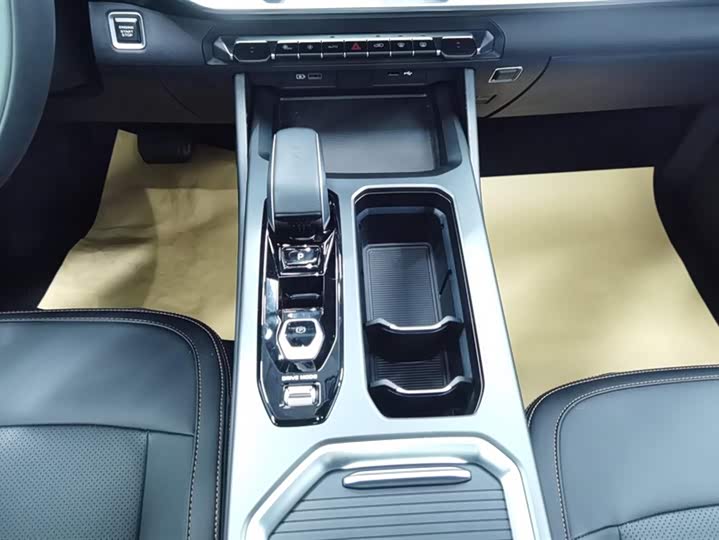 Geely Okavango L 2024 2024款 2.0T DCT尊贵型