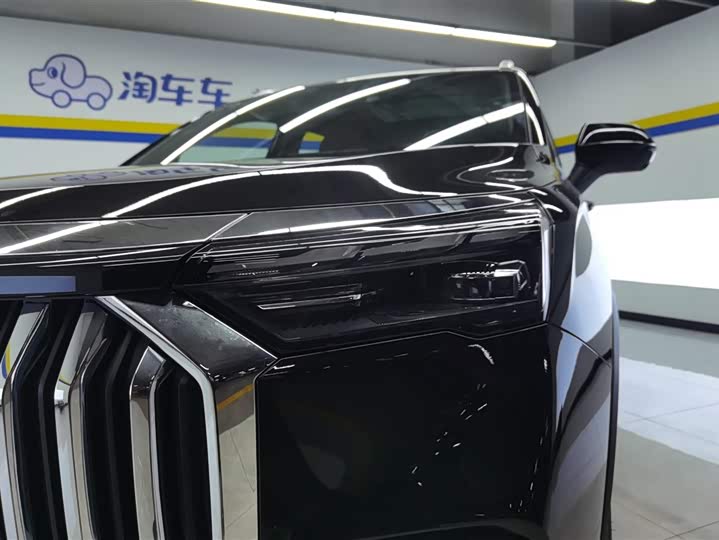 Geely Okavango L 2024 2024款 2.0T DCT尊贵型