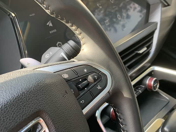 Geely Tugella 2020 2020款 高能版 350T 耀星者