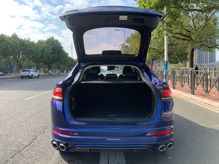 Geely Tugella 2020 2020款 高能版 350T 耀星者