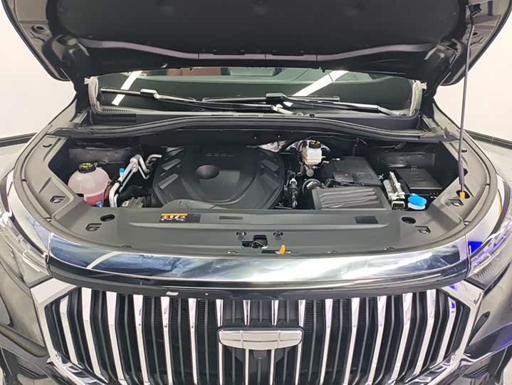 Geely Okavango L 2024 2024款 2.0T DCT旗舰型